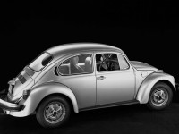 1976-volkswagen-beetle