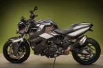 Vilner Custom Bike BMW F800 R Predator