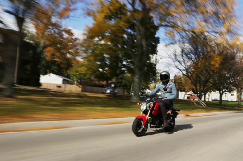 2014 Honda Grom