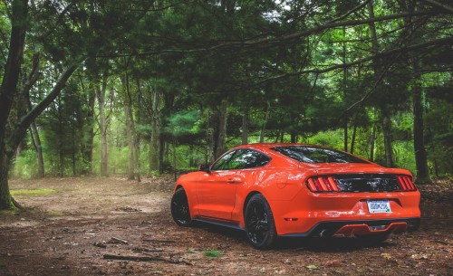 2015 Ford Mustang 2.3 EcoBoost