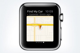 Porsche app for Apple Watch