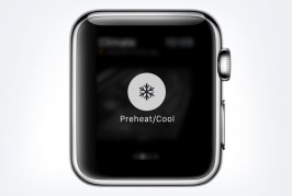 Porsche app for Apple Watch