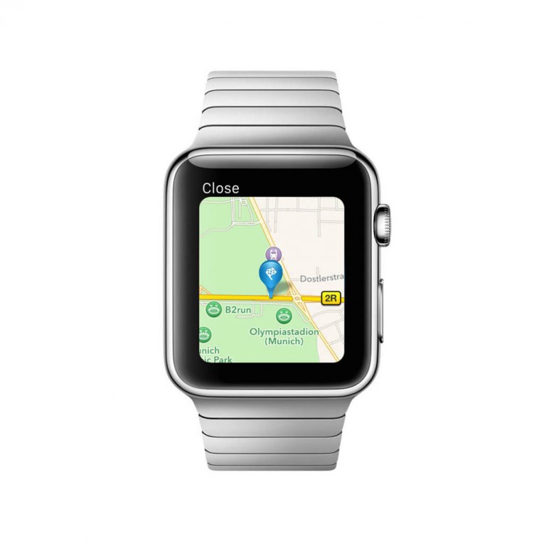 BMW app for Apple Watch