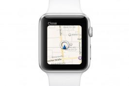 BMW app for Apple Watch