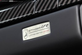 topcar stinger 911 turbo