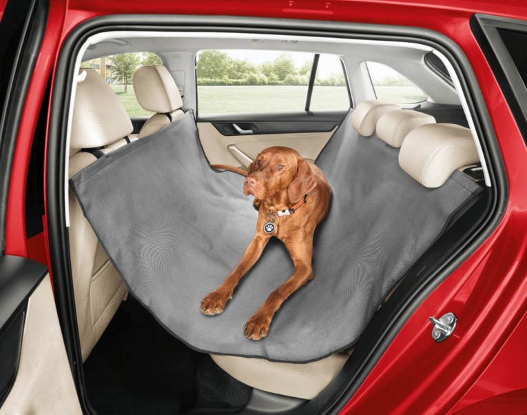 Skoda Launches Seatbelt for Dogs and Other Practical Accessories