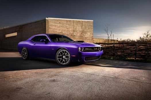 Dodge Challenger Plum CrazyPaint Option