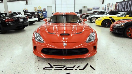 The world's biggest Viper collection