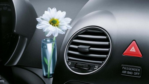 VW Beetle Dashboard Vase