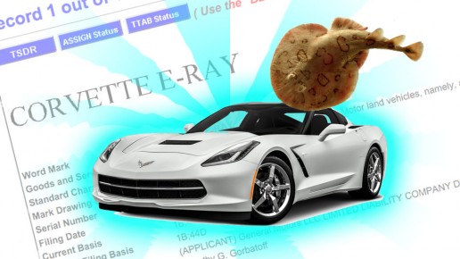 Corvette E-Ray