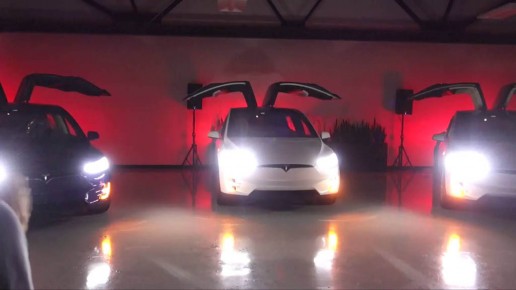 Tesla Model X-mas 