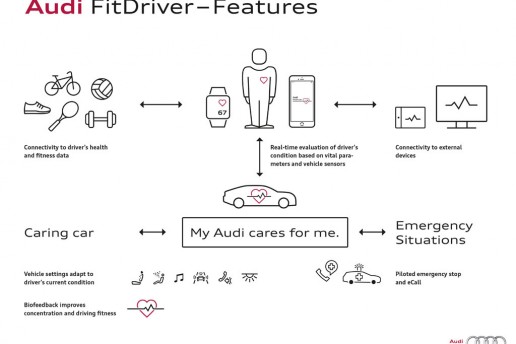 Audi FitDriver - Features