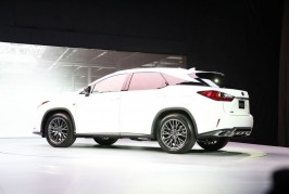 bw-lexus-rx-3_1035