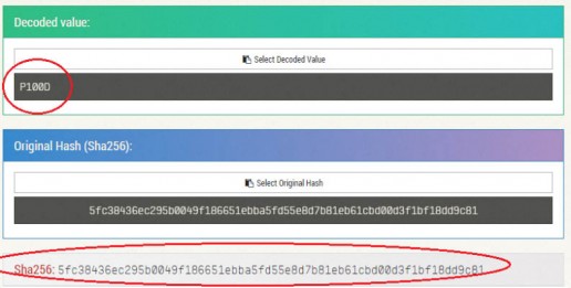 decoded-value-p100d1