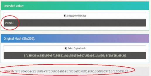 decoded-value-p100d1