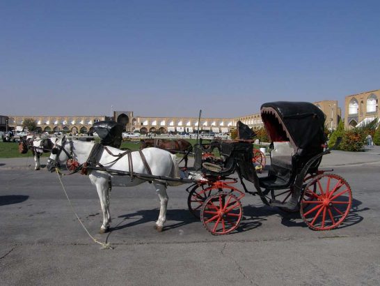 Horse-&-Buggy