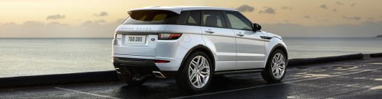 evoquewhite