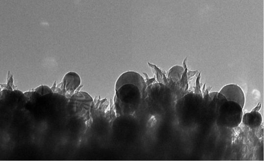 a-photomicrograph-of-the-ornl-catalyst-showing-the-carbon-nanospikes-that-can-convert-carbon-dioxide-into-ethanol