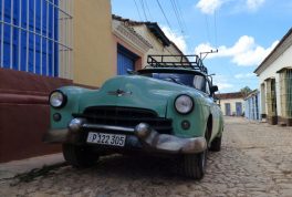 p1000617