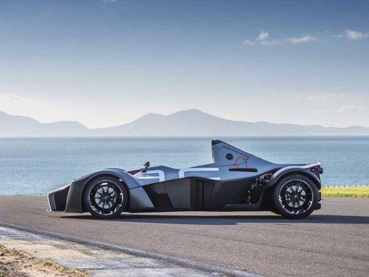 bac-mono-1