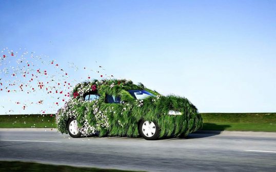 nature-car