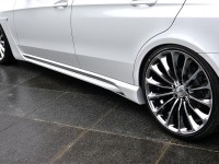 Mercedes-Benz E-Class facelift Black Bison Edition by Wald International