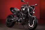 Vilner-Custom-Bike-BMW-F800-R-Predator