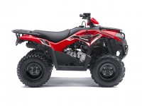 Kawasaki Brute Force 300