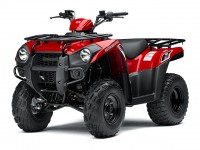 Kawasaki Brute Force 300