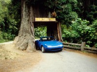 1990-Mazda-MX-5-Miata-driving-through-tree