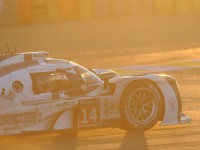 2014 Le Mans 24 Hours Race