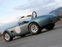 2014 Shelby Cobra 289 FIA 50th Anniversary