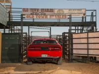 2015-dodge-challenger-rt-scat-pack-rear-end