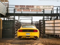 2015-ford-mustang-gt-rear-end