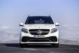 2016 Mercedes-Benz GLE