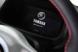 2019 YAMAHA MOTIVE