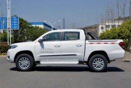 Foday F22 pickup 2015