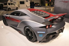 Arrinera Hussarya