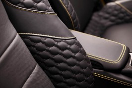 TopCar Stinger Porsche GTR Carbon Edition