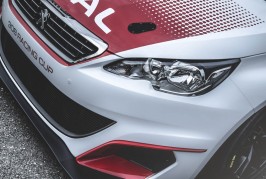 Peugeot 308 Racing Cup