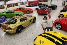 The world's biggest Viper collection