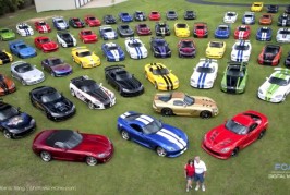 The world's biggest Viper collection