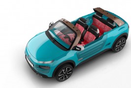 Citroën Cactus M concept