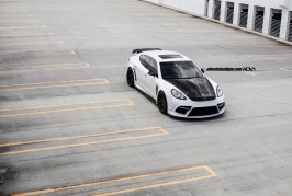 Mansory Porsche Panamera turbo