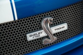 Shelby F-150 Blue Thunder