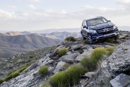 2016 Mercedes-Benz GLE