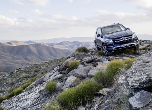 2016 Mercedes-Benz GLE