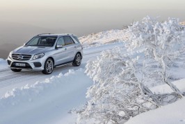 2016 Mercedes-Benz GLE