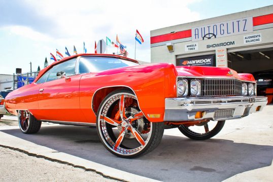 the-donk-southern-fly-riding-high