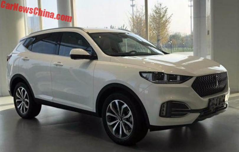 WEY VV6